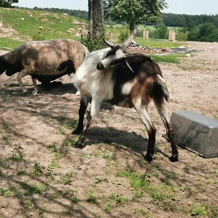 Haus Murrquelle Konukevi *